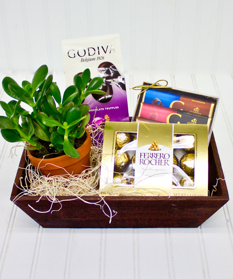 Succulents & Sweets Crate