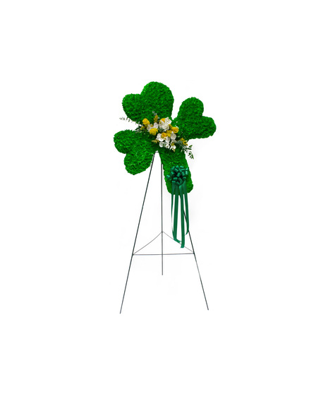 Shamrock