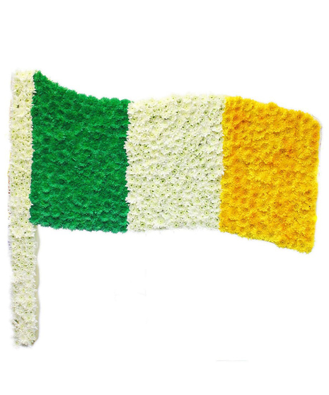 Irish Flag