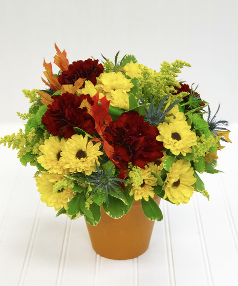 Terra Cotta Pot with Autumn Flowers